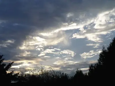 image-2380227267.webp