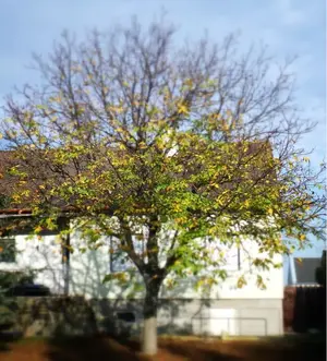 image-3858274860.webp