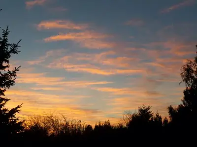 image-2424983296.webp