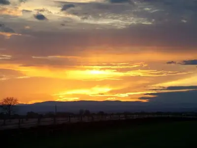 image-285433496.webp