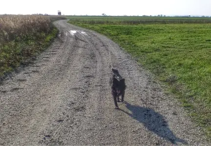 image-1520605245.webp