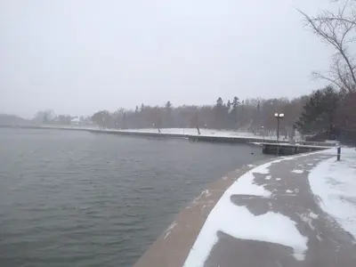 image-2627921031.webp