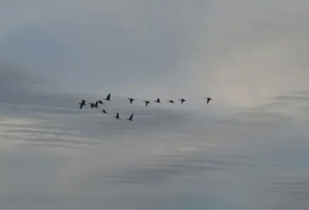 image-3040454280.webp