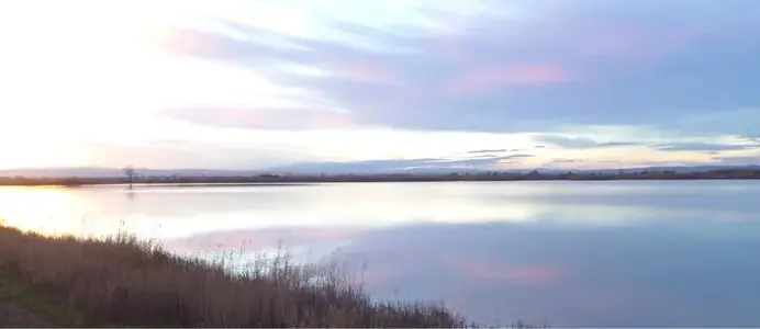 image-3954082556.webp