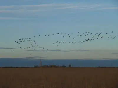 image-3901659114.webp