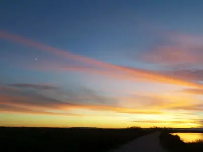 image-3546867957.webp