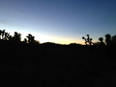 image-3821740691.webp