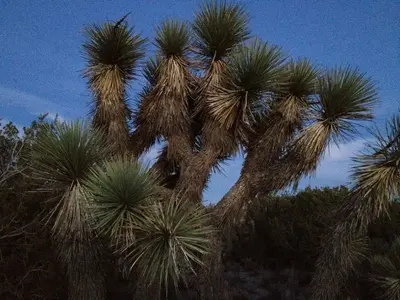image-1432569020.webp
