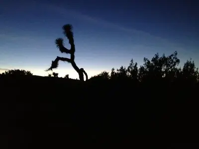 image-185895285.webp