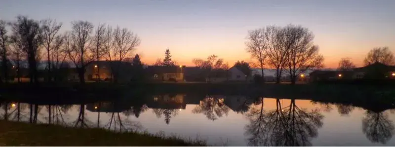 image-3089385025.webp