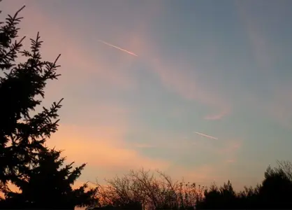 image-164320378.webp