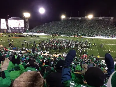 image-3817998895.webp