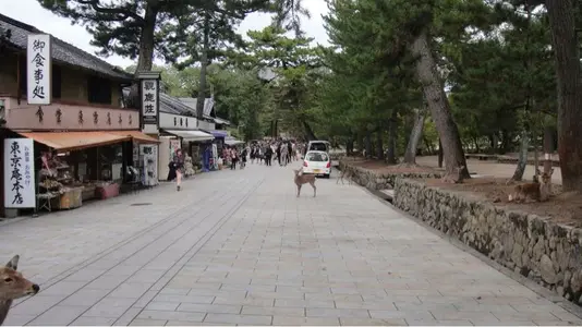 image-322487266.webp