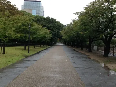 image-402014403.webp