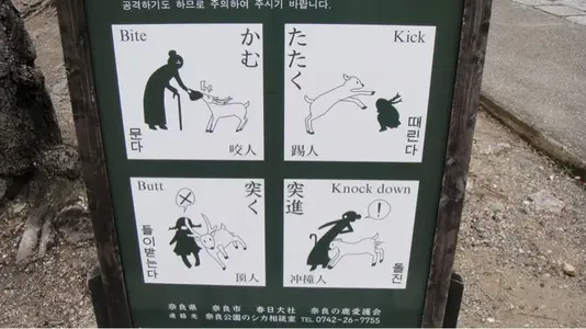 image-823245871.webp
