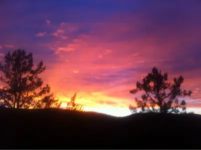 image-3075855825.webp