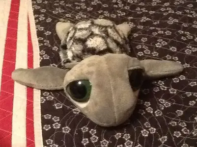image-2821145490.webp