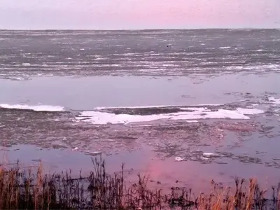 image-2958115336.webp