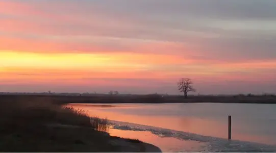image-1098647631.webp