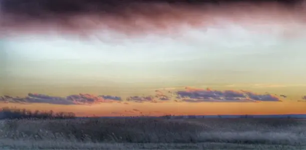 image-694570243.webp