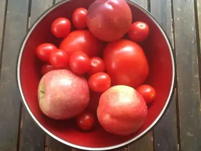 image-287221420.webp
