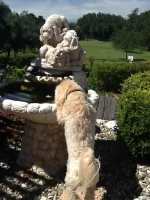 image-92134152.webp
