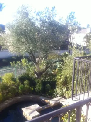 image-2532027079.webp