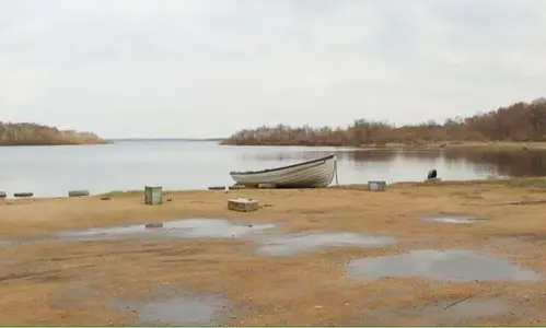 image-173325120.webp