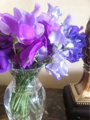 image-1413110604.webp