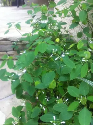 image-1701048044.webp