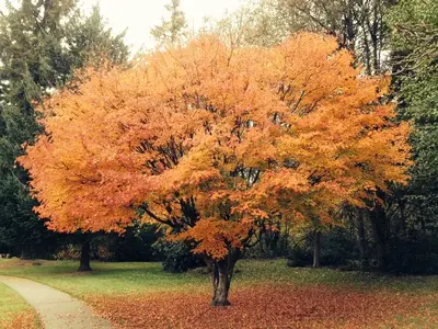 image-1234825790.webp