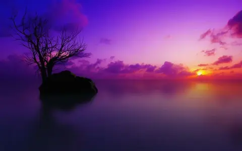 image-751397184.webp