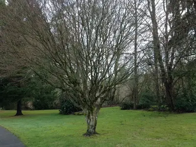 image-2168897899.webp