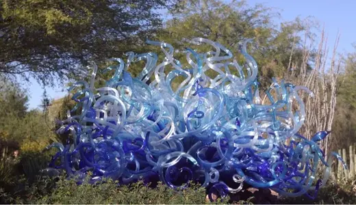 image-877050848.webp