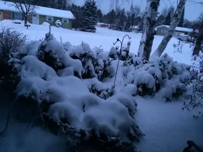 image-378285822.webp