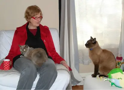 image-2995809954.webp