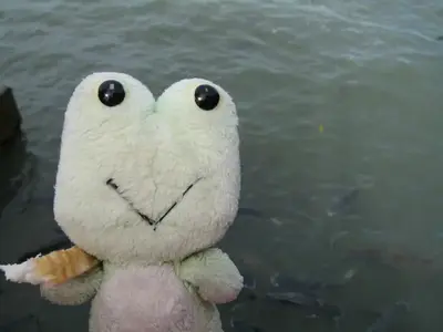 image-3162828284.webp