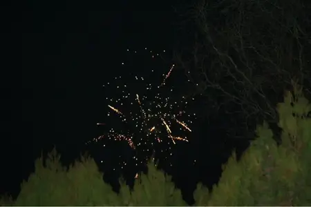 image-1244438204.webp