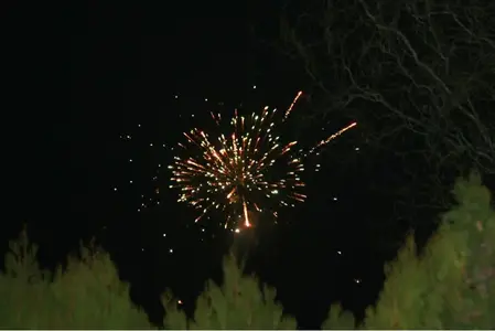 image-1283939266.webp