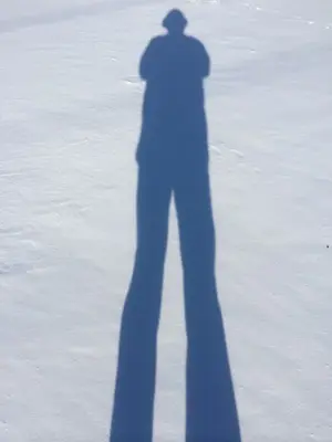 image-3149975442.webp