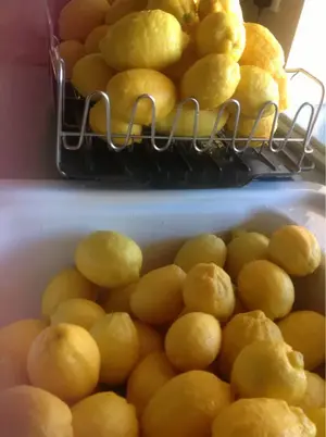 image-3873780323.webp