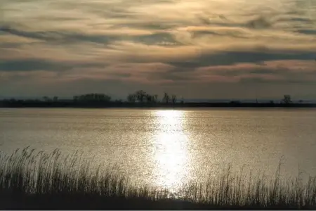 image-845507669.webp