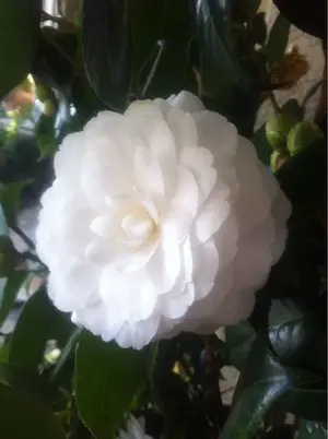 image-66230626.webp