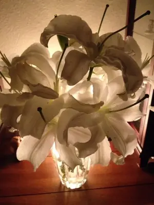 image-4216963011.webp