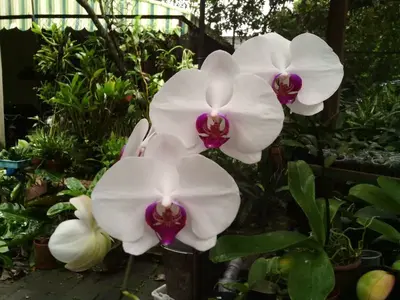 image-1469721031.webp