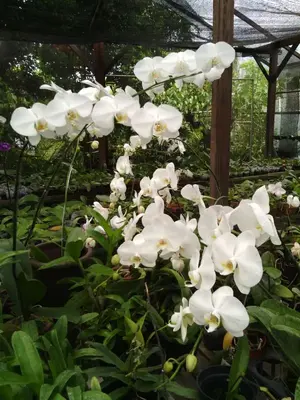 image-1041468019.webp