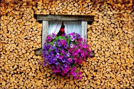 image-3359992574.webp image-3359992574.webp