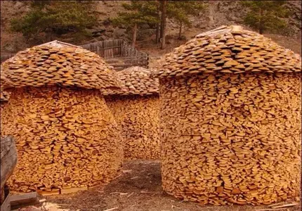 image-3686465279.webp image-3686465279.webp