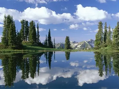 image-3396836460.webp image-3396836460.webp