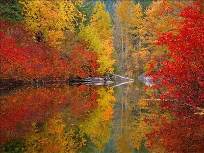 image-654960948.webp image-654960948.webp